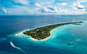 Niva Kuramathi Maldives